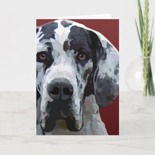 Harleqiuin great dane kort