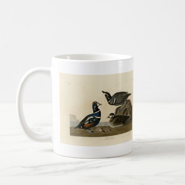 Harlequin Anka - från Audubon's Birds of America Kaffemugg (Vänster)