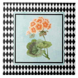 Harlequin Framed Geranium Botanical Kakelplatta