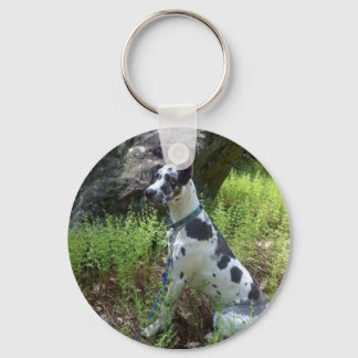 Harlequin Great dane Keychain Nyckelring