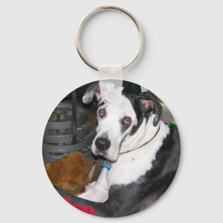 Harlequin Great dane Nyckelring