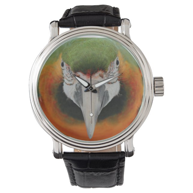 Harlequin macaw watch armbandsur (Framsida)