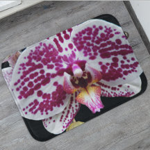 Harlequin Phalaenopsis Orchid Blommigt