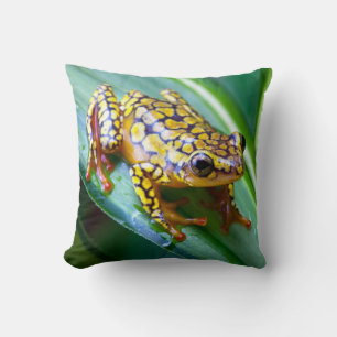Harlequin Poison Dart Frog Kudde