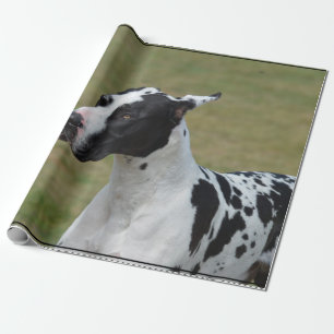 Harlequingreat dane presentpapper