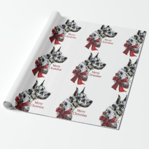Harlequingreat danejul presentpapper