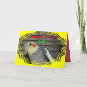 Harley Cockatiel Birthday Card Tack Kort