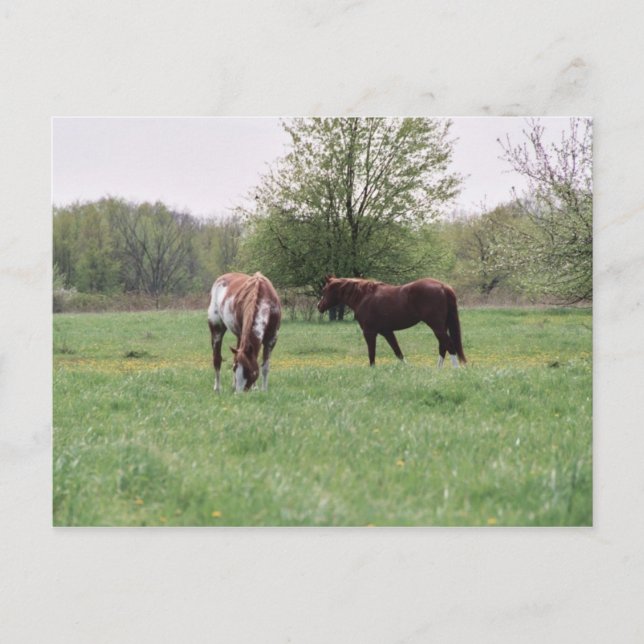 Harley & Dam vykort (Framsida)
