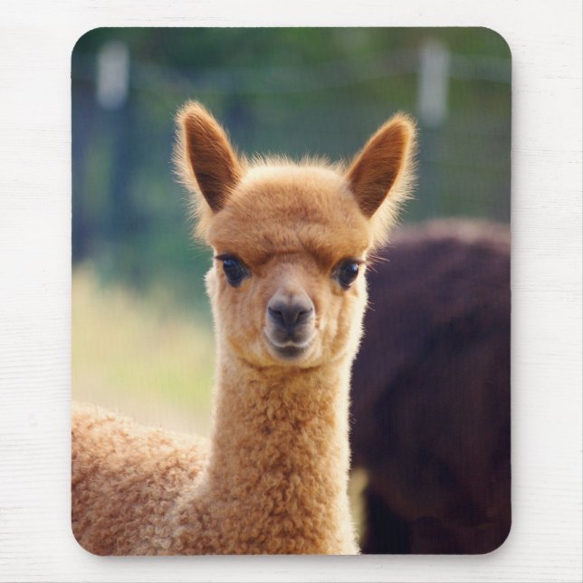 Härlig Alpaca Mousepad Musmatta (Framsidan)