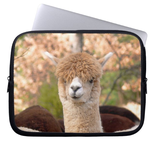 Härlig Alpacalaptop sleeve (Framsidan)