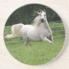 Härlig arabisk Marekustfartyg - 2 Underlägg Sandsten