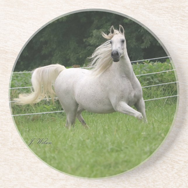 Härlig arabisk Marekustfartyg - 2 Underlägg Sandsten (Framsidan)