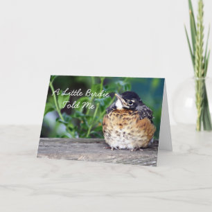 Härlig baby Robin Kort