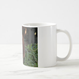 Härlig Bassethundmugg Kaffemugg