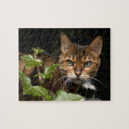 Härlig Bengal katt Pussel