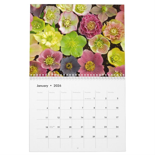 Härlig blommakalender 2013 kalender (Jan 2026)