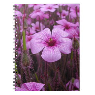 Härlig blommigt anteckningsbok med spiral