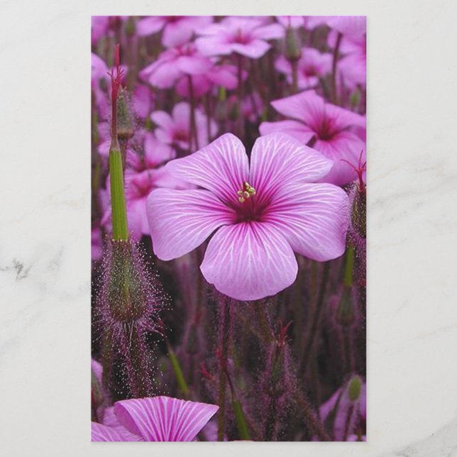 Härlig blommigt brevpapper (Framsida)