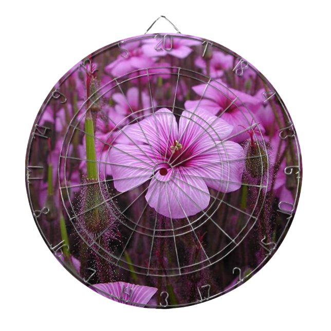 Härlig blommigt piltavla (Framsidan)