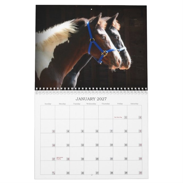 Härlig boskap kalender (Jan 2027)