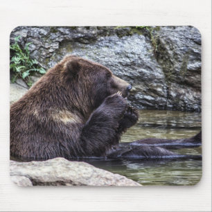 Härlig brun Grizzlybjörn Musmatta