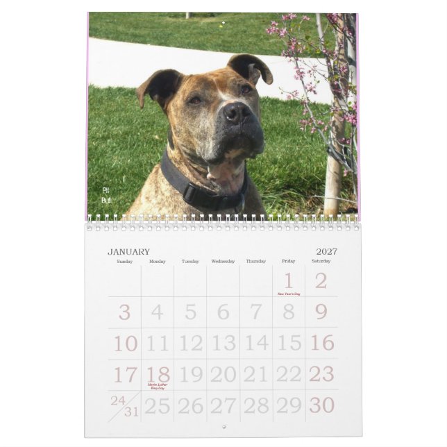 Härlig Bullys 2011 hundkalender Kalender (Jan 2027)