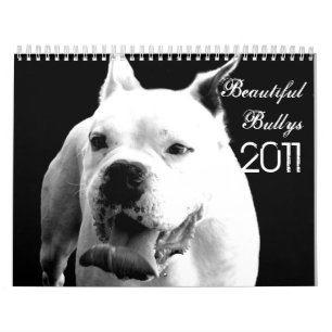 Härlig Bullys 2011 hundkalender Kalender