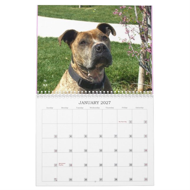 Härlig Bullys 2012 hundkalender Kalender (Jan 2027)