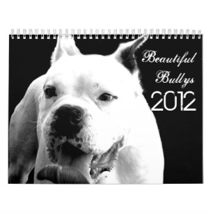 Härlig Bullys 2012 hundkalender Kalender