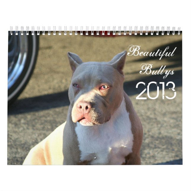 Härlig Bullys 2013 hundkalender Kalender (Omslag)
