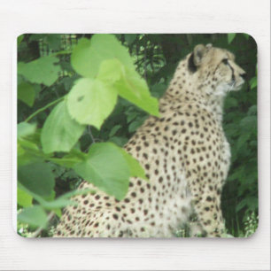 Härlig cheetah musmatta