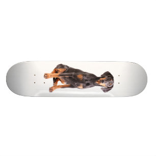 härlig dobermanpinscher old school skateboard bräda 21,6 cm