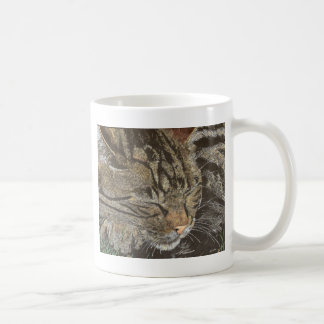 Härlig drömmare (som sovar tabbyen) kaffemugg