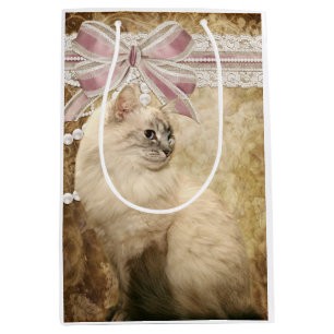 Härlig elegant kattunge