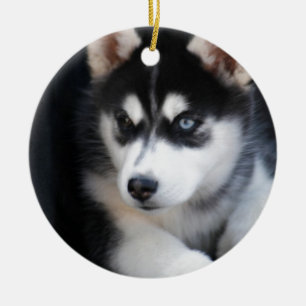 Härlig en blåttögasiberian husky 2 julgransprydnad keramik
