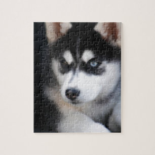 Härlig en blåttögasiberian husky 2 pussel