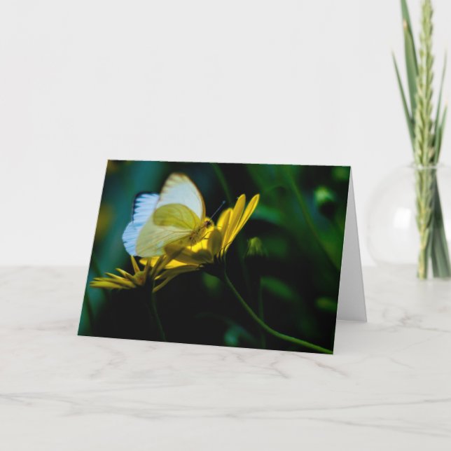 Härlig fjäril tomma Notecard Kort (Framsida)