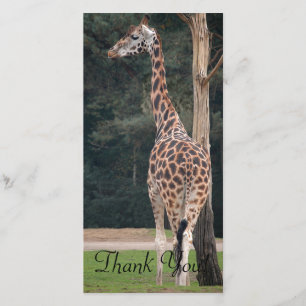 Härlig giraff tack kort