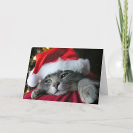 Härlig grå färgjulkattunge helgkort