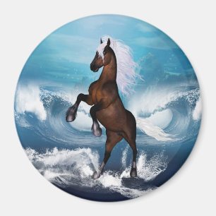 Härlig häst med magnet