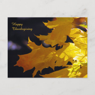 Härlig höst lövthanksgivinghälsning helg vykort
