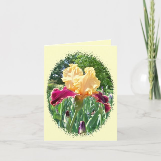 Härlig Iris Notecard Kort (Framsida)