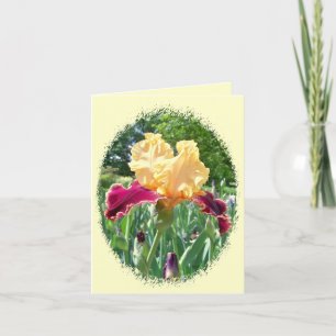 Härlig Iris Notecard Kort