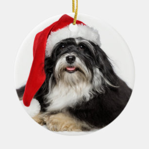 Härlig julHavanese hund med den Santa hatten Julgransprydnad Keramik