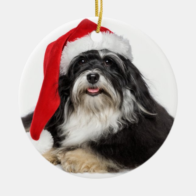 Härlig julHavanese hund med den Santa hatten Julgransprydnad Keramik (Framsidan)
