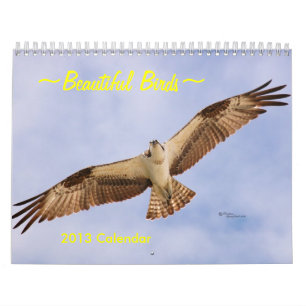 Härlig kalender för fåglar 2016