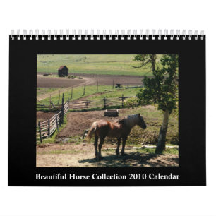 Härlig kalender för häst 2010