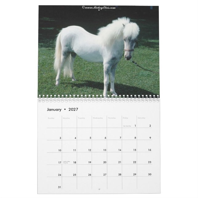 Härlig kalender för häst 2010 (Jan 2027)