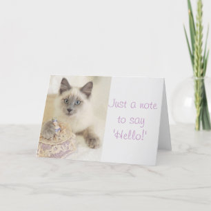 Härlig katt precis en notera till något att kort