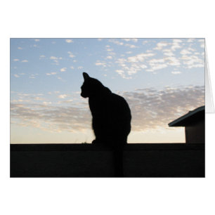 Härlig kattsilhouette på solnedgången OBS kort